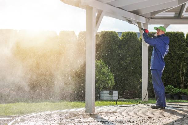 Best Fleet Vehicle Washing  in Buchanan, MI
