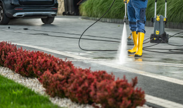 Best Playground Equipment Cleaning  in Buchanan, MI