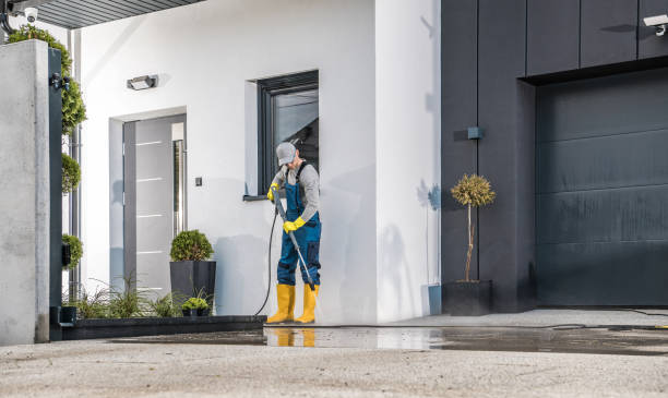 Best Graffiti Removal  in Buchanan, MI